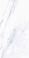 Marshall Blue Matte 12 x 24
